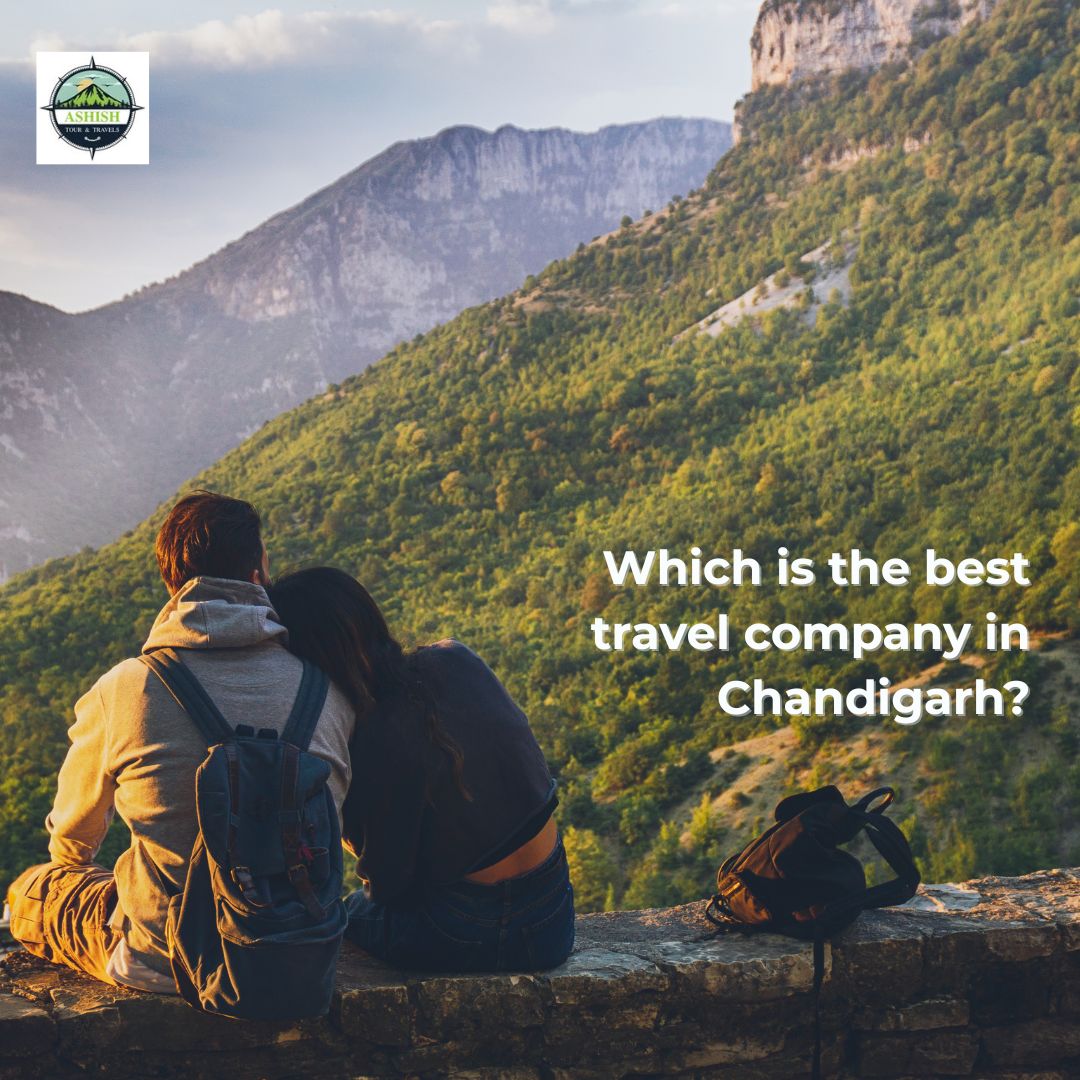 Which is the best travel company in Chandigarh?